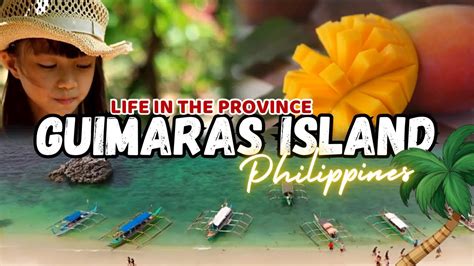 mango capital city of the philippines|Guimaras .